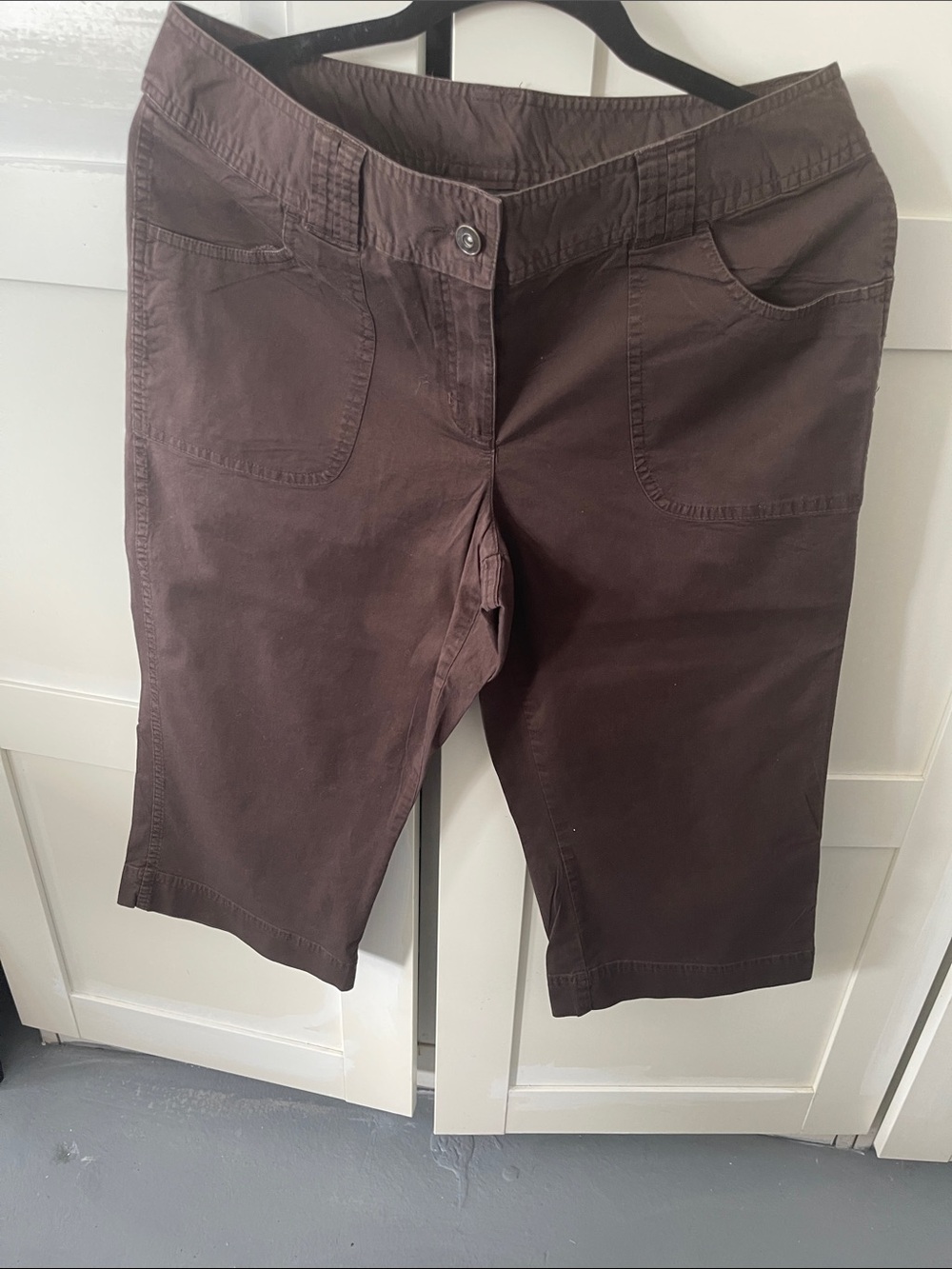 Style & Co. Chocolate Brown Bermuda Shorts